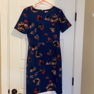 Beautiful J Crew dress